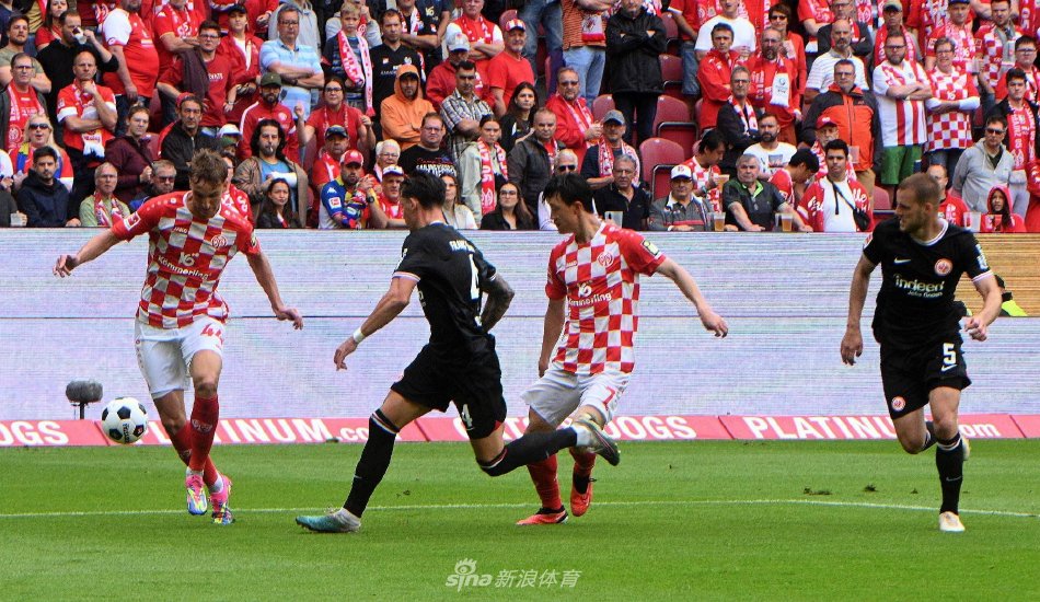 马这种高曝 马这种高曝